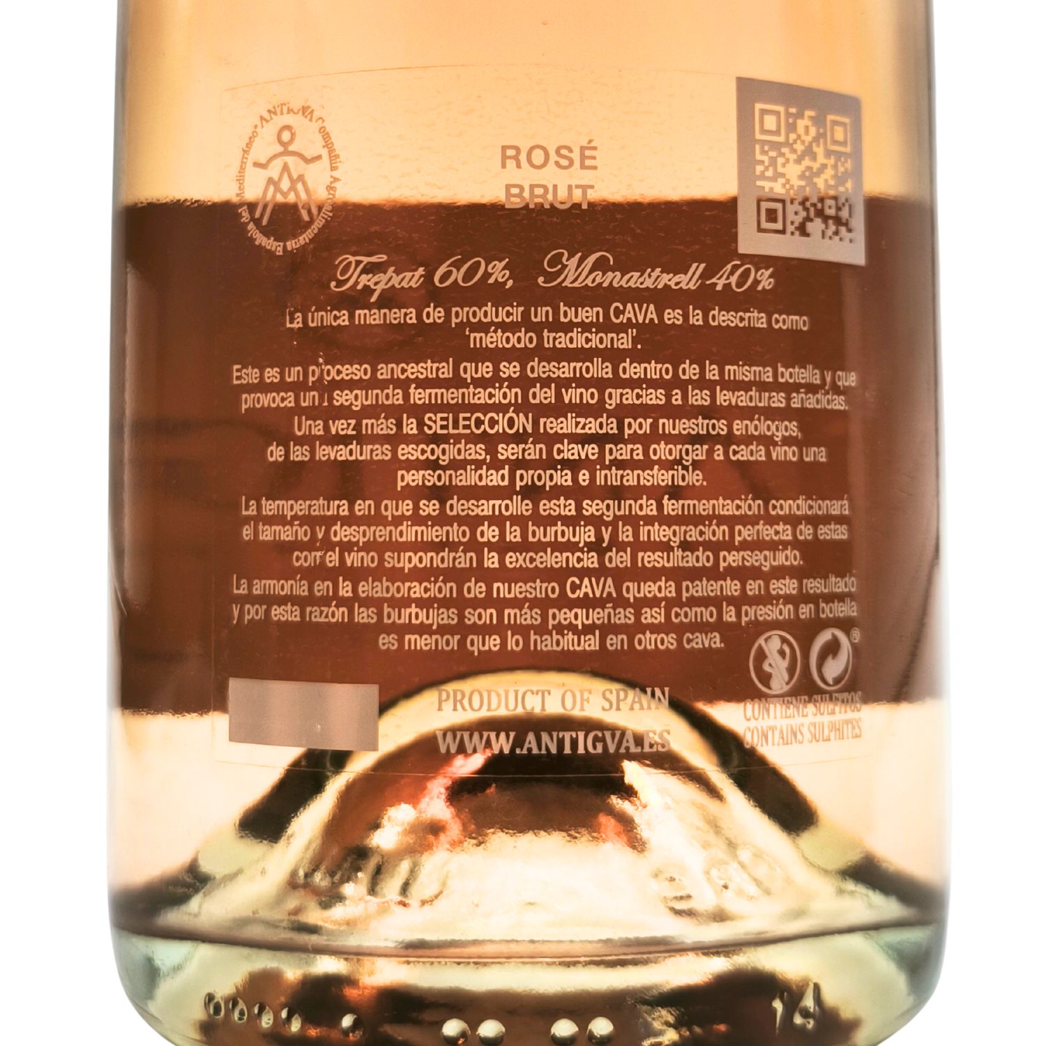 Cava brut rosé Antigva contraetiqueta