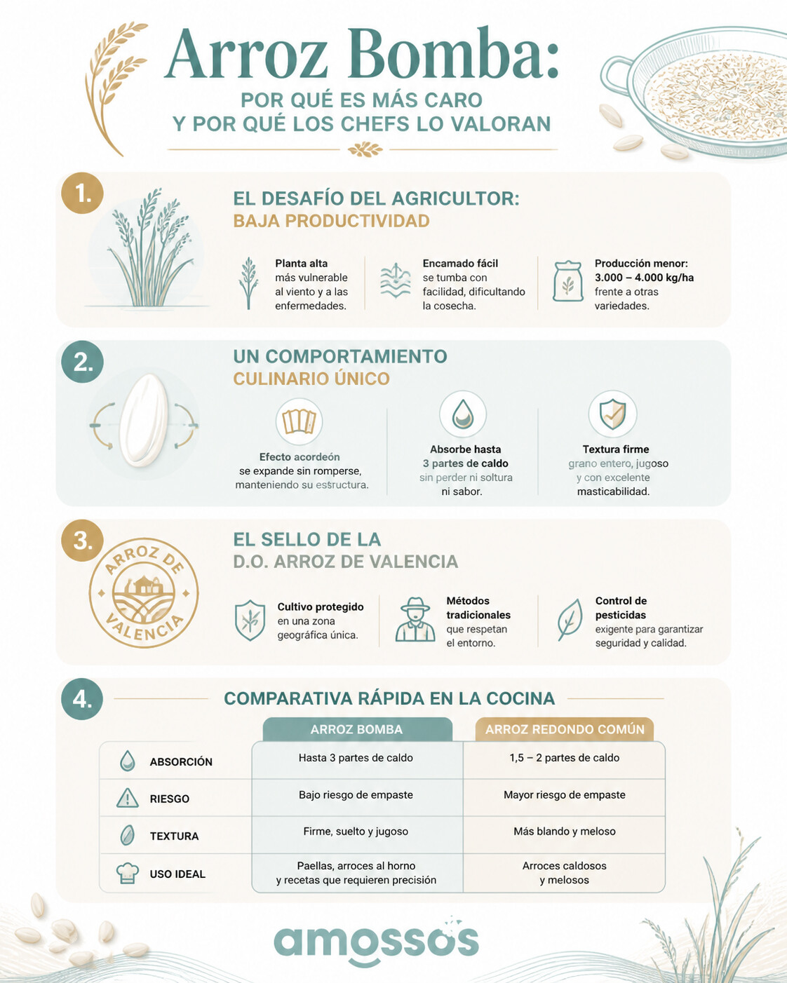 Infografía arroz DO Valencia J. Sendra, Bomba, Albufera