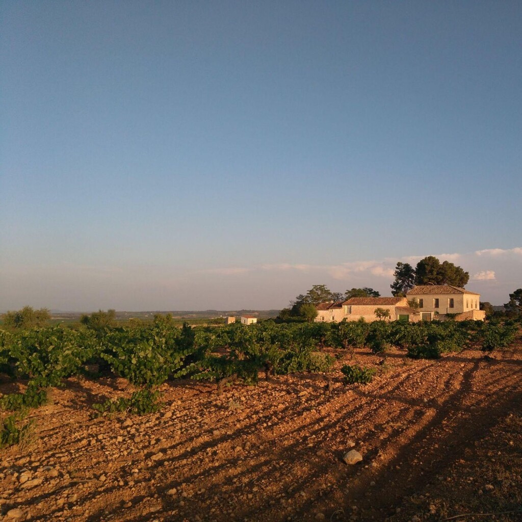 Casa de la Finca La Picaraza con viñedo