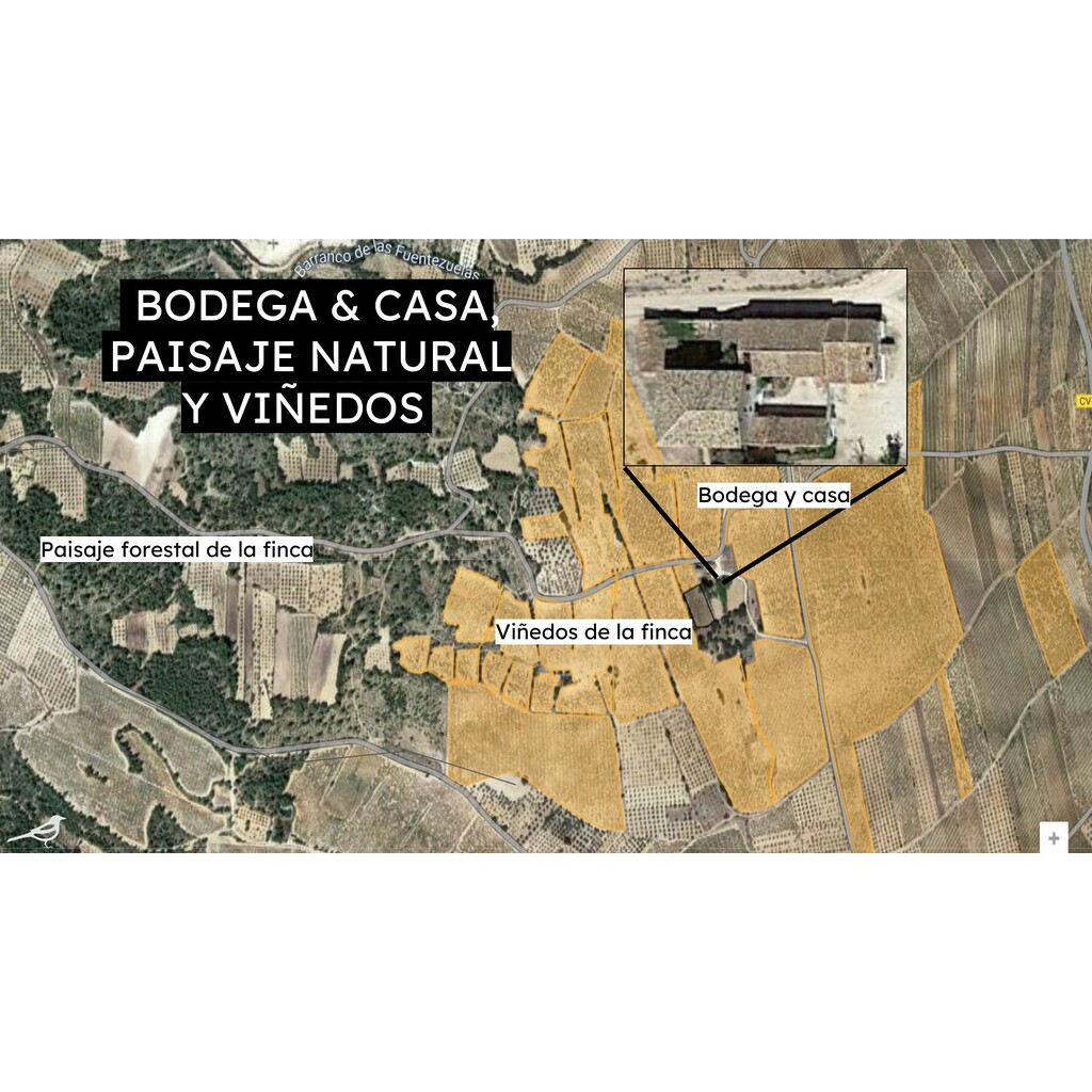 Foto aérea de la finca La Picaraza